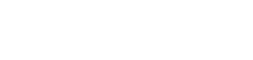 Next Day Stone